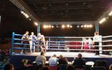 Nastup na večeri profi-boksa u Bečeju